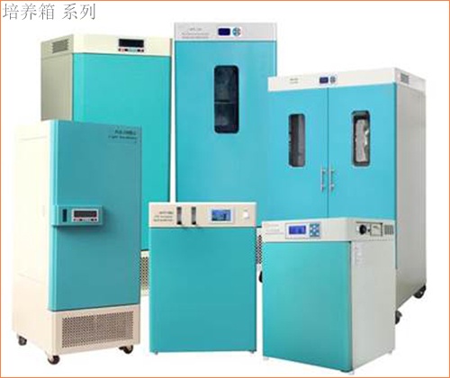 1628841572139818.jpg 圖片3(1).jpg