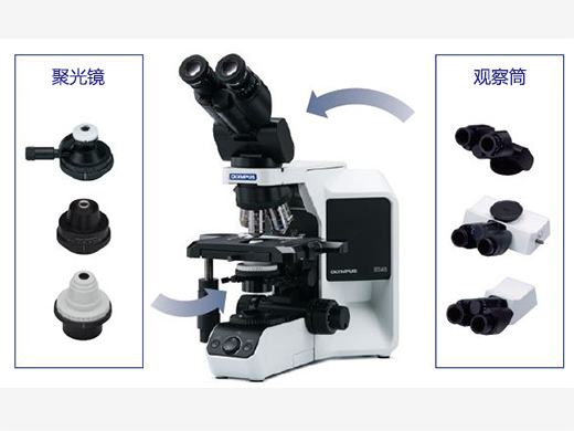 1633666884123862.jpg 可根據不同的觀察類型進行定制.jpg