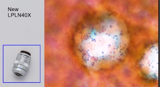 1633666926317187.png BX43手動顯微鏡系統 (2).png