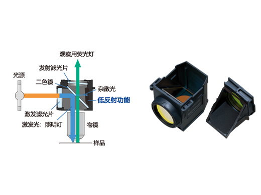 針對熒光優化的反射鏡部件 (1).jpg
