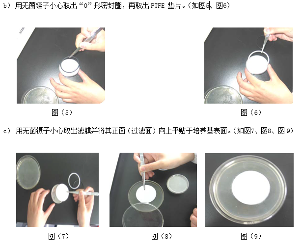 TW-303 微生物限度過濾系統(tǒng)  sy.bmp