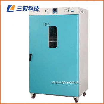 620升300℃立式老化測試烤箱DHG-9620B電熱鼓風(fēng)干燥箱	