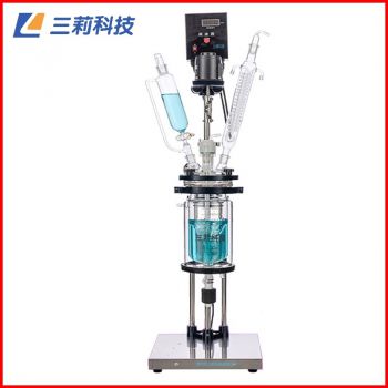 S212-5L雙層玻璃反應釜 噴四氟防腐5升雙層玻璃反應器